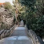 Stella- Near Center And Bacvice Split