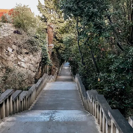 Stella- Near Center And Bacvice Split