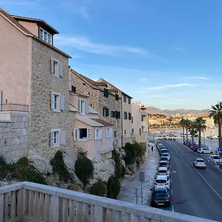 Stella- Near Center And Bacvice